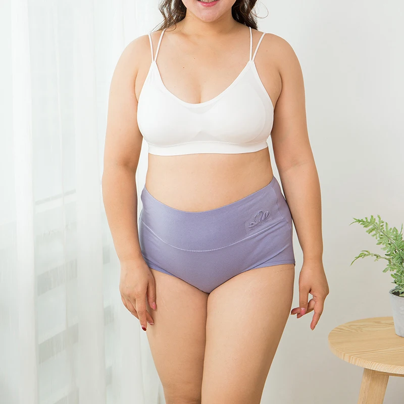 Women's high waist cotton panties image 4