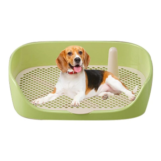 Indoor Potty Tray Portable Pet Toilet Training With Pillar Toilet Puppy Pad  Holder Tray Pet Supplies For Medium Small Dog Cats - AliExpress