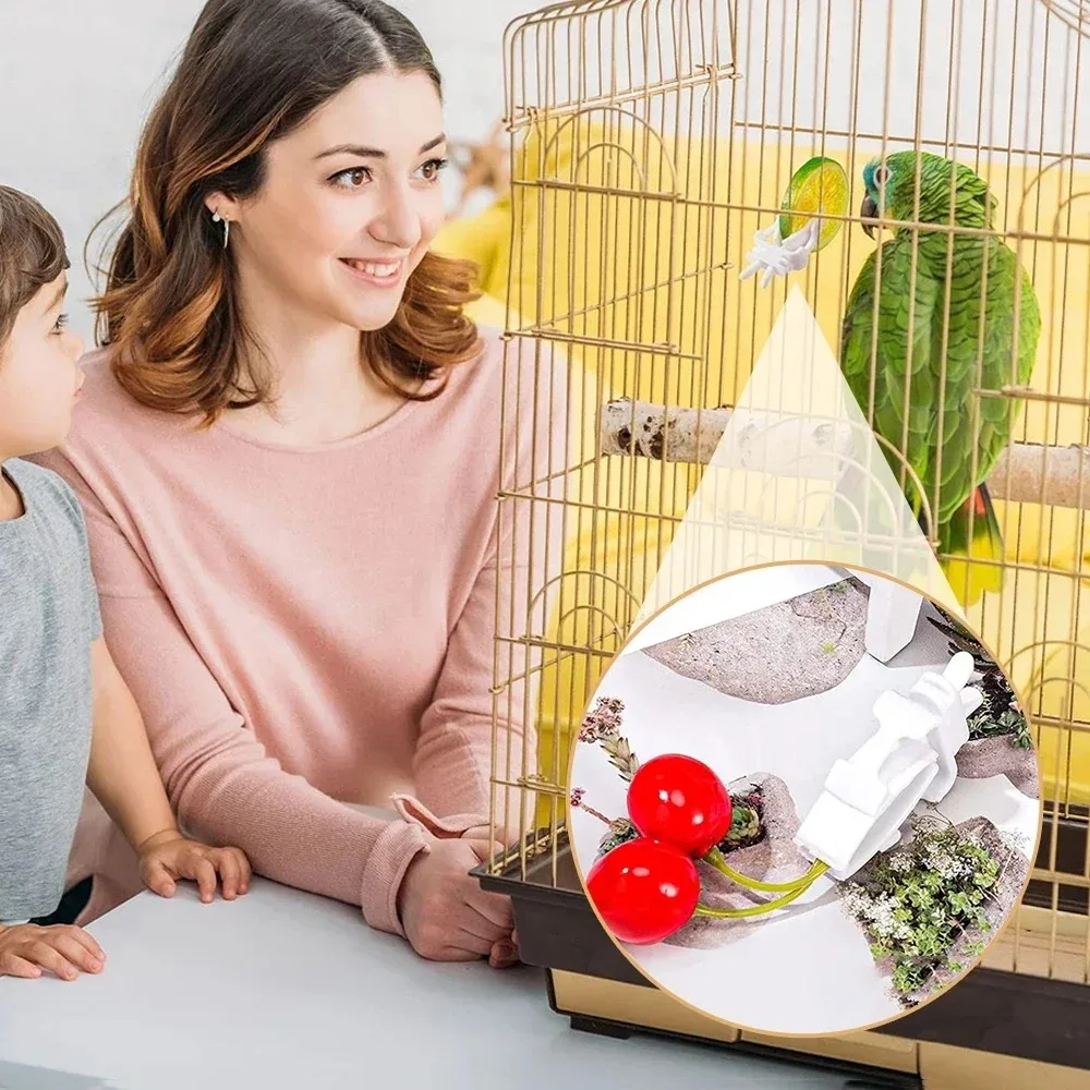 Birds Food Holder Pet Parrot Feeding Fruit Vegtable Clip Cuttlefish Bone Feeder Device Pin Clamp Bird Cage Accessories Oiseaux
