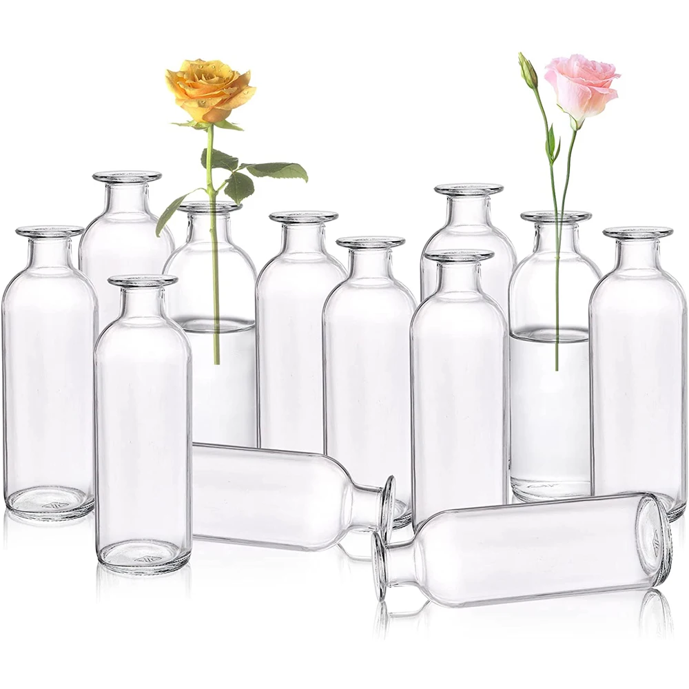Set of 6 Glass Bud Vases, Clear Small Flower Vases, Decorative Glass Bottles Floral Vases for