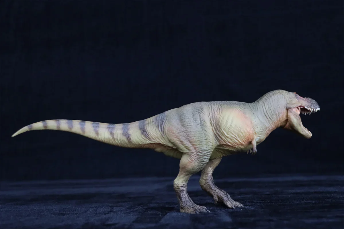 木彫り [ティラノサウルス] 全長58cm ティラノザウルス】 恐竜木彫り彫刻 全長58cm : 田中ソウケン