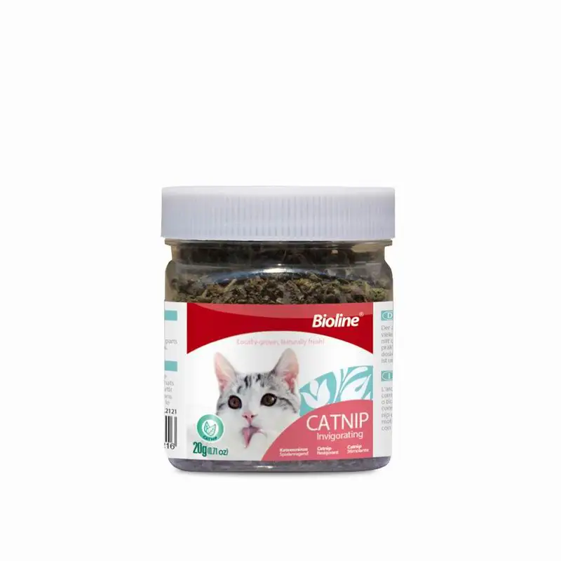 catnip 20g