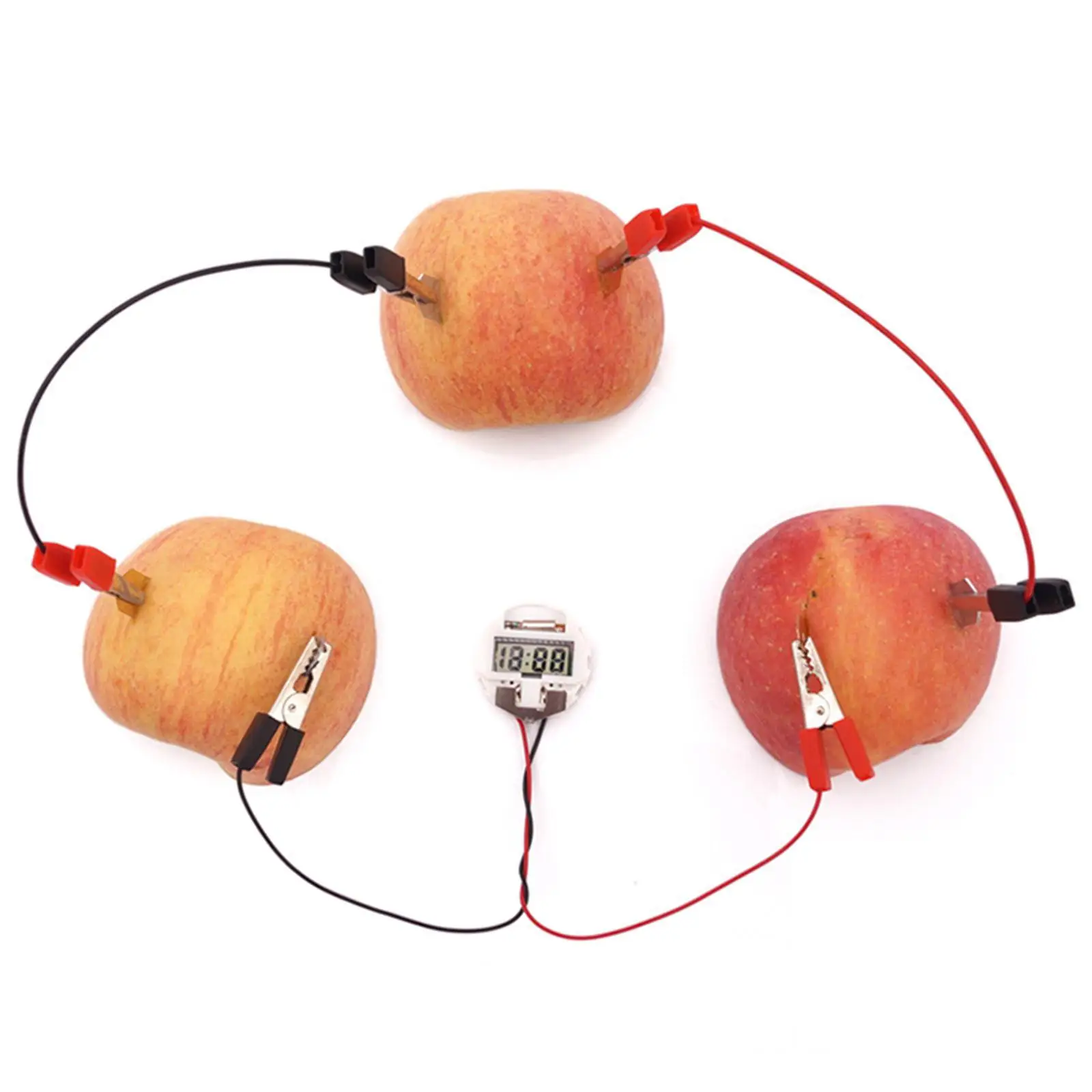 

Fruit Battery Science Experiment Kit DIY Home Teaching Toy Educational Learning Toy Science Energy Lab Kit for Potato Boys Teens