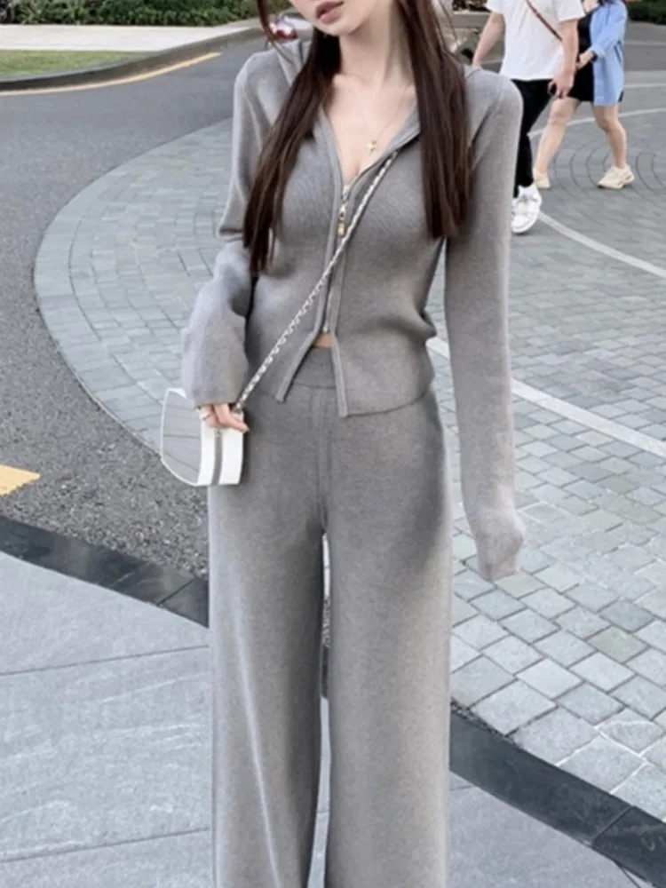 Women Fashion Slim Knitted Tracksuits 2 Piece Set Autumn Winter Casual Hooded Zip-up Short Coat Trousers Outfits Femme Clothing 2
