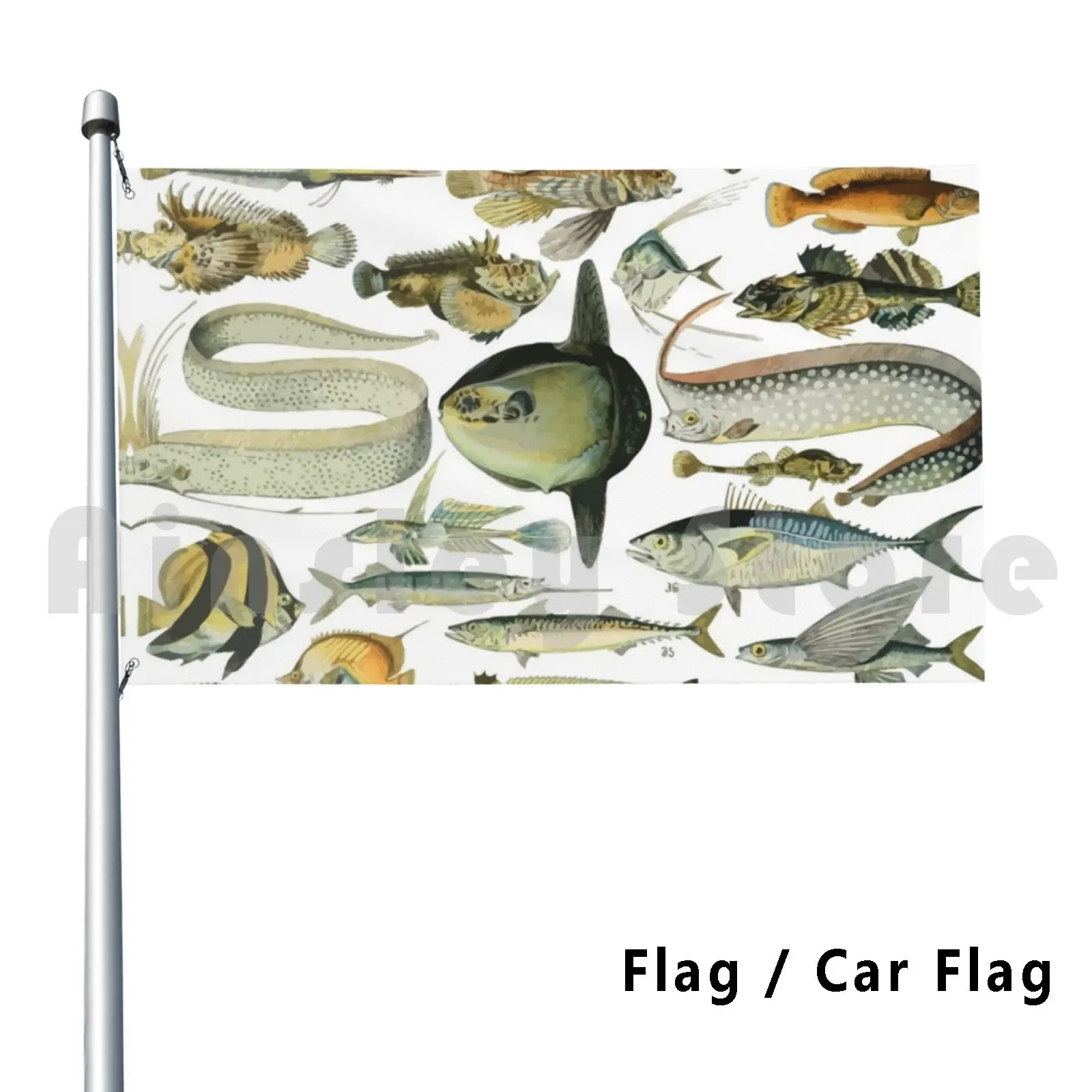 Adolphe Millot Poissons Fish Flag Car Flag Funny Poisson Fish Pesce Artist Beautiful Math Poissons