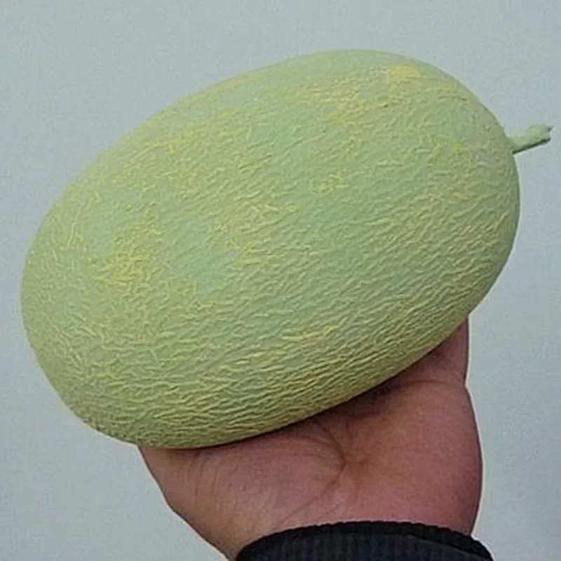 

1Pc Latex Melon Magic Tricks Lifelike Rubber Melon Appearing Fake Fruit Production Magia Stage Magic Tricks Magia Magie Gimmick