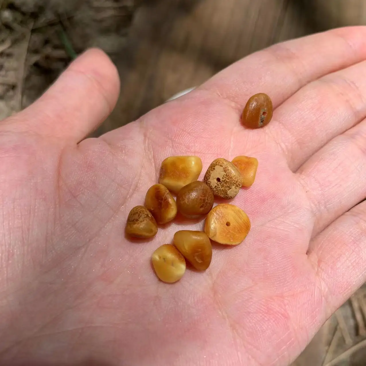 100% natural baltic amber bracelet Jewelry Genuine  Charm Bracelets  Cute/Romantic  Women