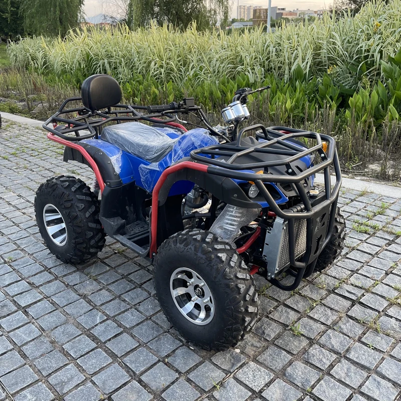 Four Wheel Off-road Go Kart Beach Bike Drive Automatic Transmission Motorcycle All Terrain ATV Outdoor Mountain Off-road