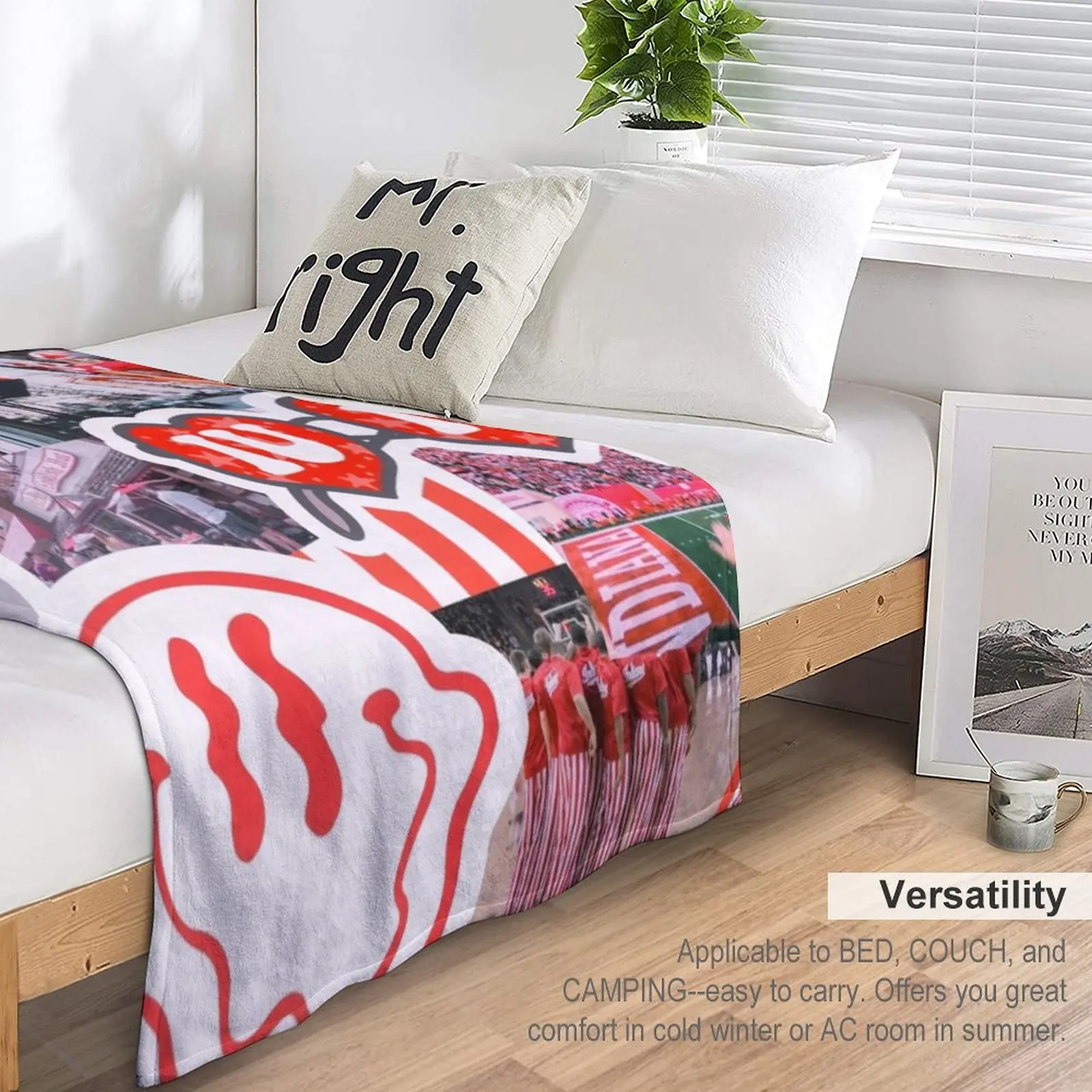 �ε�ֳ� ���б� �ݶ��� ���ο� ���, ���� ���� ���