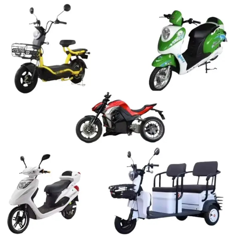 48V 100Ah 13S6P Lithium Battery Pack 48v 100000mAh 2000W Citycoco Motorized Scooter Batteries Built in 50A BMS