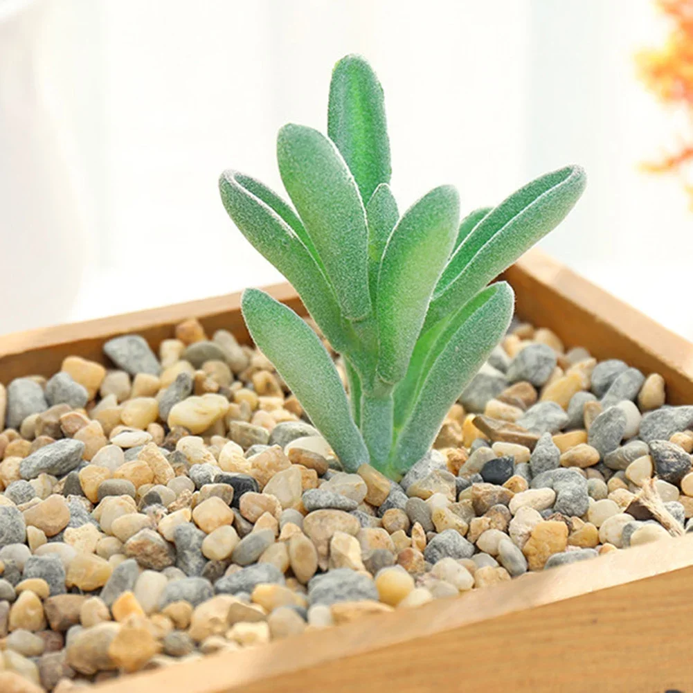 DIY künstliche saftige beflockte Pflanze gefälschte Kaktus Hausgärten Schlafzimmer Büro außerhalb Dekor gefälschte Pflanze Desktop kleine Bonsai neu – Detail 7