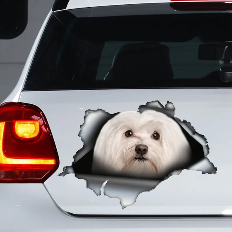 

Длинношерстная наклейка на автомобиль, Мальтийский магнит, наклейка на автомобиль мальтиса, фотоэлемент