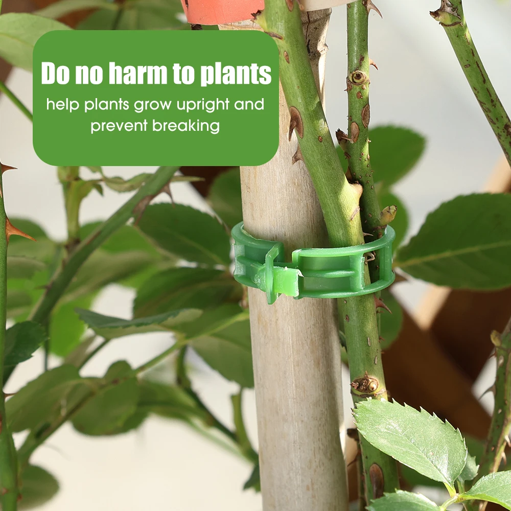 Plant Clips Supports Reusable Plastic Connects Fixing Vine Tomato Stem Grafting Vegetable Plants Orchard and Home Garden Tools