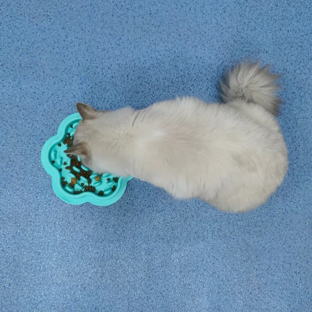 Pet cat and dog gluttony bowl dog slow food cat and dog bowl edible silicone bowl slow food mat anti-knock over neck plate 4