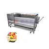 Best Selling Fruit And Vegetable Purifier Carrot Ginger Potato Brush Washing Machine And Slicer Dry Palm Dates Cleaning Machine 1