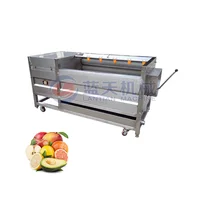 Best Selling Fruit And Vegetable Purifier Carrot Ginger Potato Brush Washing Machine And Slicer Dry Palm Dates Cleaning Machine 1