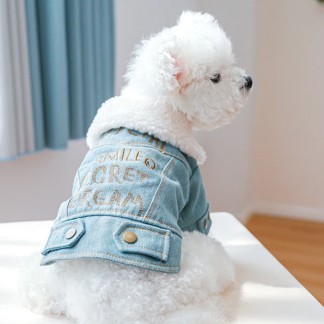 2023 New Design Luxury Denim Coats for Small Dog Clothing Pet Pet Clothes -  China Pet Supply and Pet Accessories price