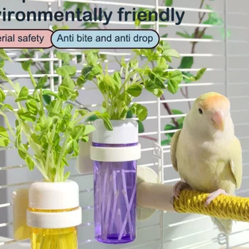 Cestino porta verdure per gabbia di pappagalli, contenitore per la conservazione, accessori per gabbie, cesto sospeso, giocattoli, forniture per gabbie di parrocchetti