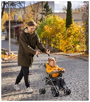 Poussette Moby-System Barton légère, pliable, grise, avec barre de protection et harnais pour enfants jusqu'à 15 kg 3