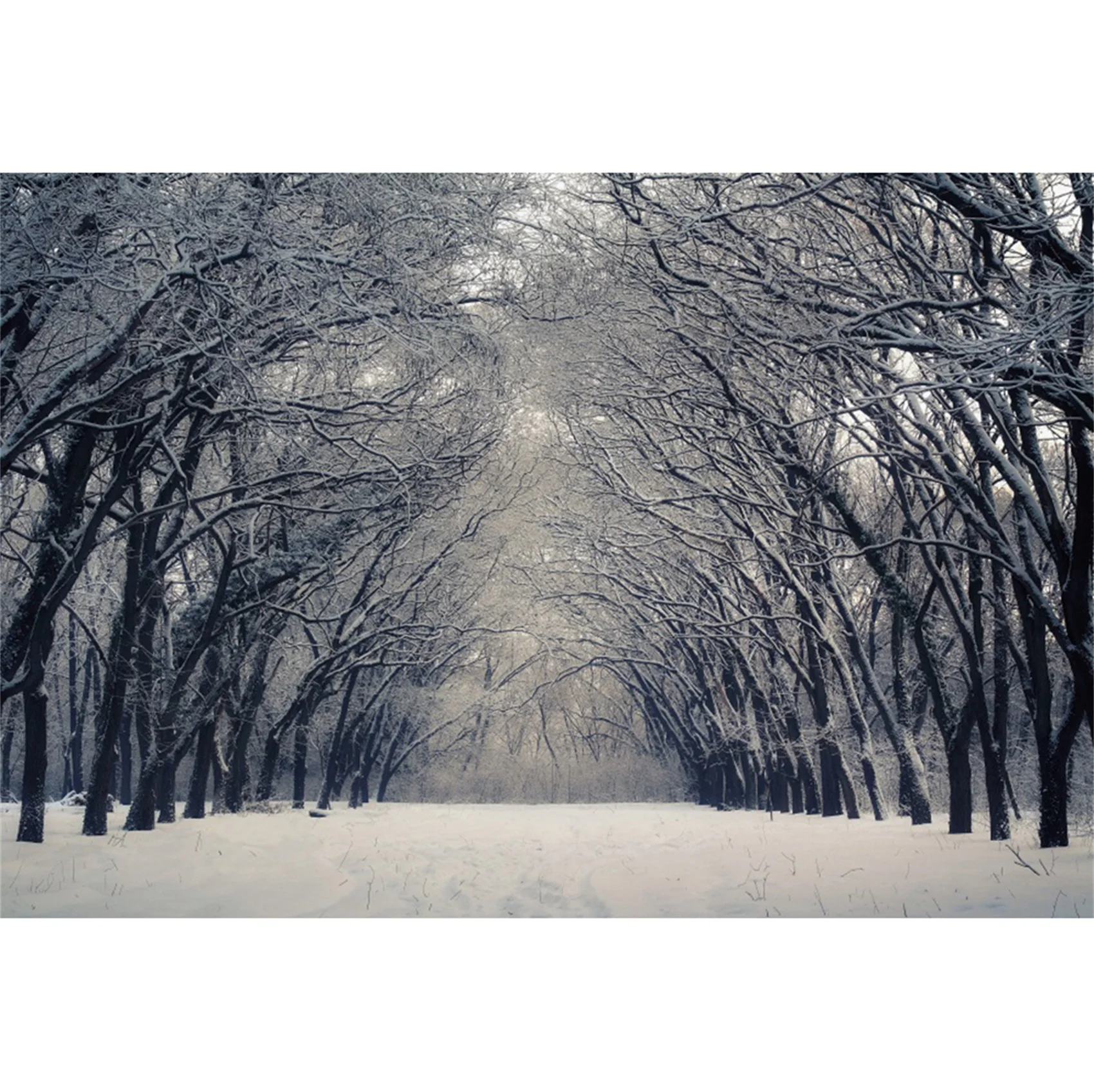 thumbnail image 1 of Fondos fotográficos con escena de nieve y árboles en el bosque invernal de Yeele para sesión fotográfica, decoración, fondos fotográficos para estudio fotográfico, 1 of 5
