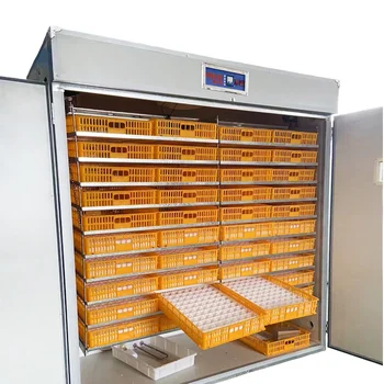 Incubateur René solaires automatique, pour les producteurs d'Afrique du Sud 1