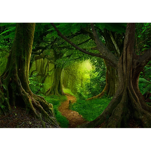 CORFOTO 3x2m Summer Forest Background Green Nature Landscape Photography Background Wooden Plank Road Lake Scenery Backdrop Green Forest Trees Backdrop Birthday Baby Shower Party Decor
