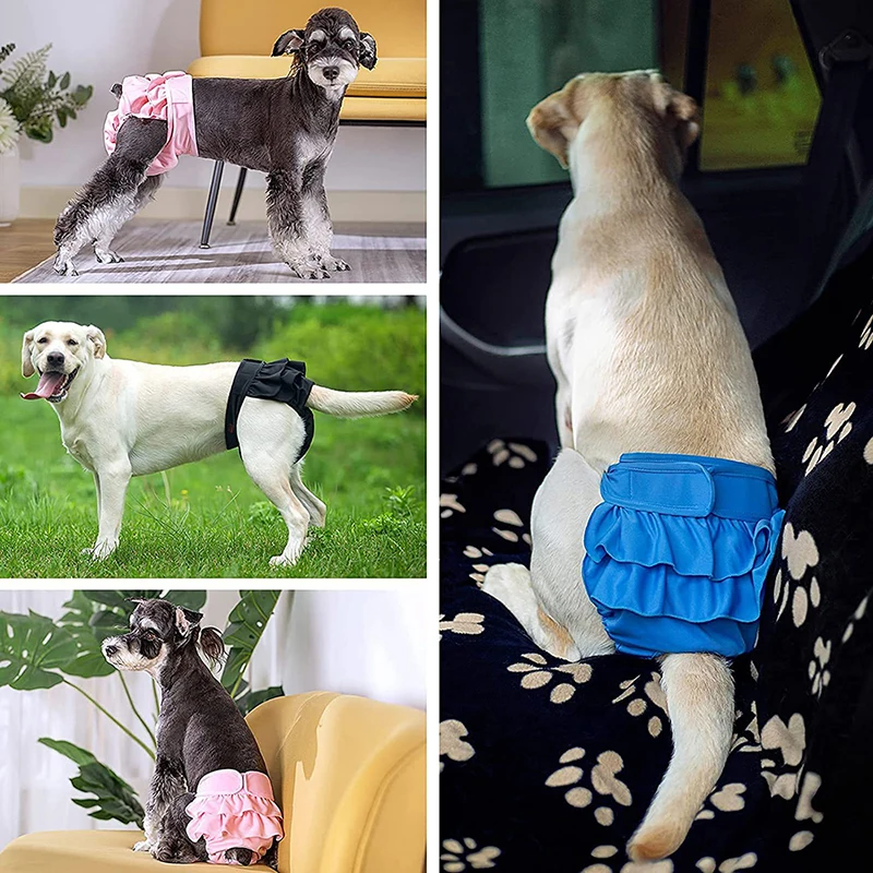 Dog Shorts Washable Physiological Pants For Small Large Doggy