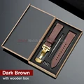 Dark Brown-Gold