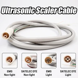 DT E Dental Scaler Detachable Cable Tube Woodpeck Ultrasonic Scaler Cable Water EMS Hose Spare Satelec Tubing