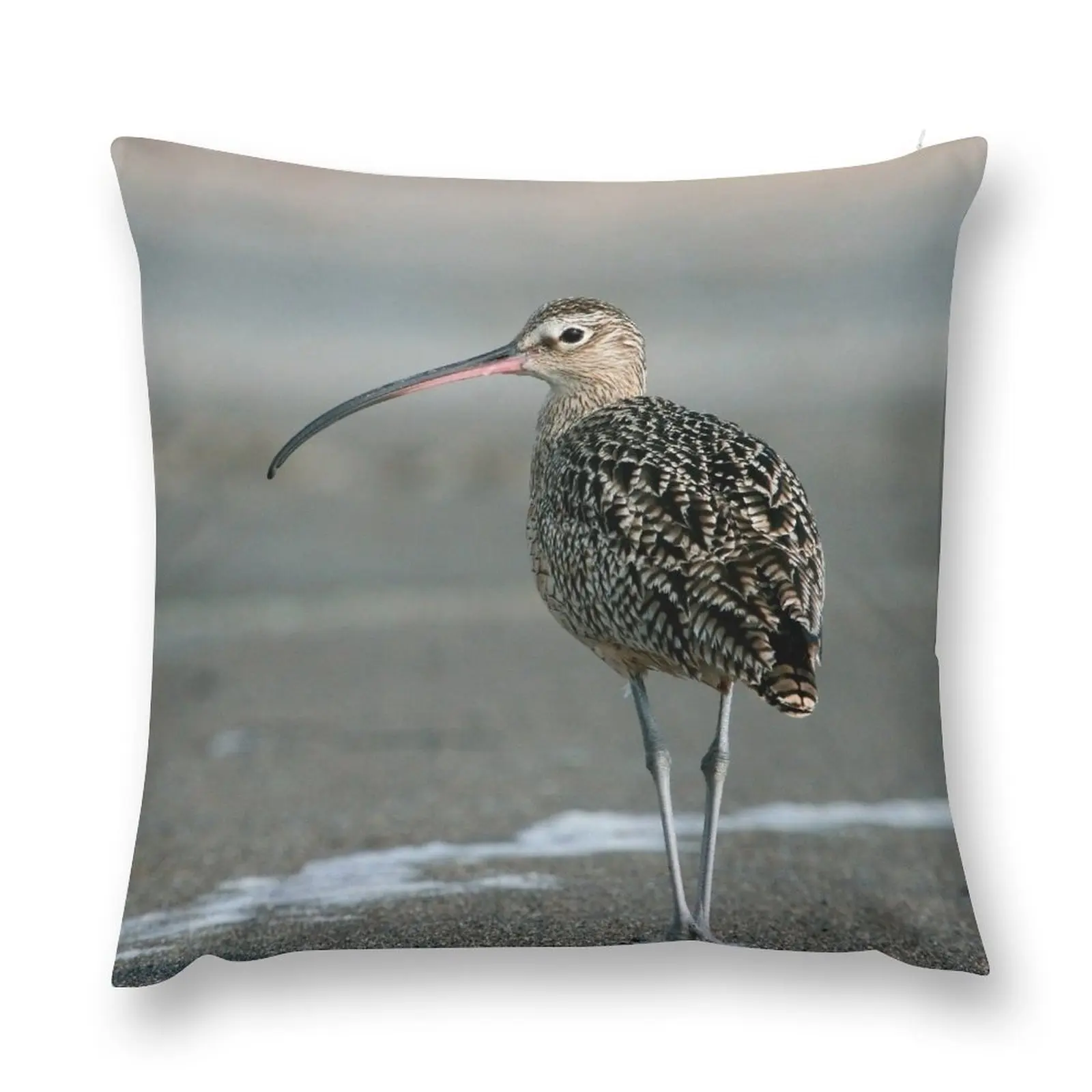 

Long-billed Curlew Throw Pillow Christmas Pillows home decor items