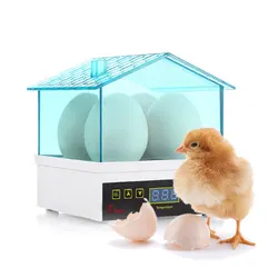 Mini Semi Automatic Duck Goose Incubator Experiment LED Light Poultry Chicken Bird Hatcher Tool Digital Temperature Brooder