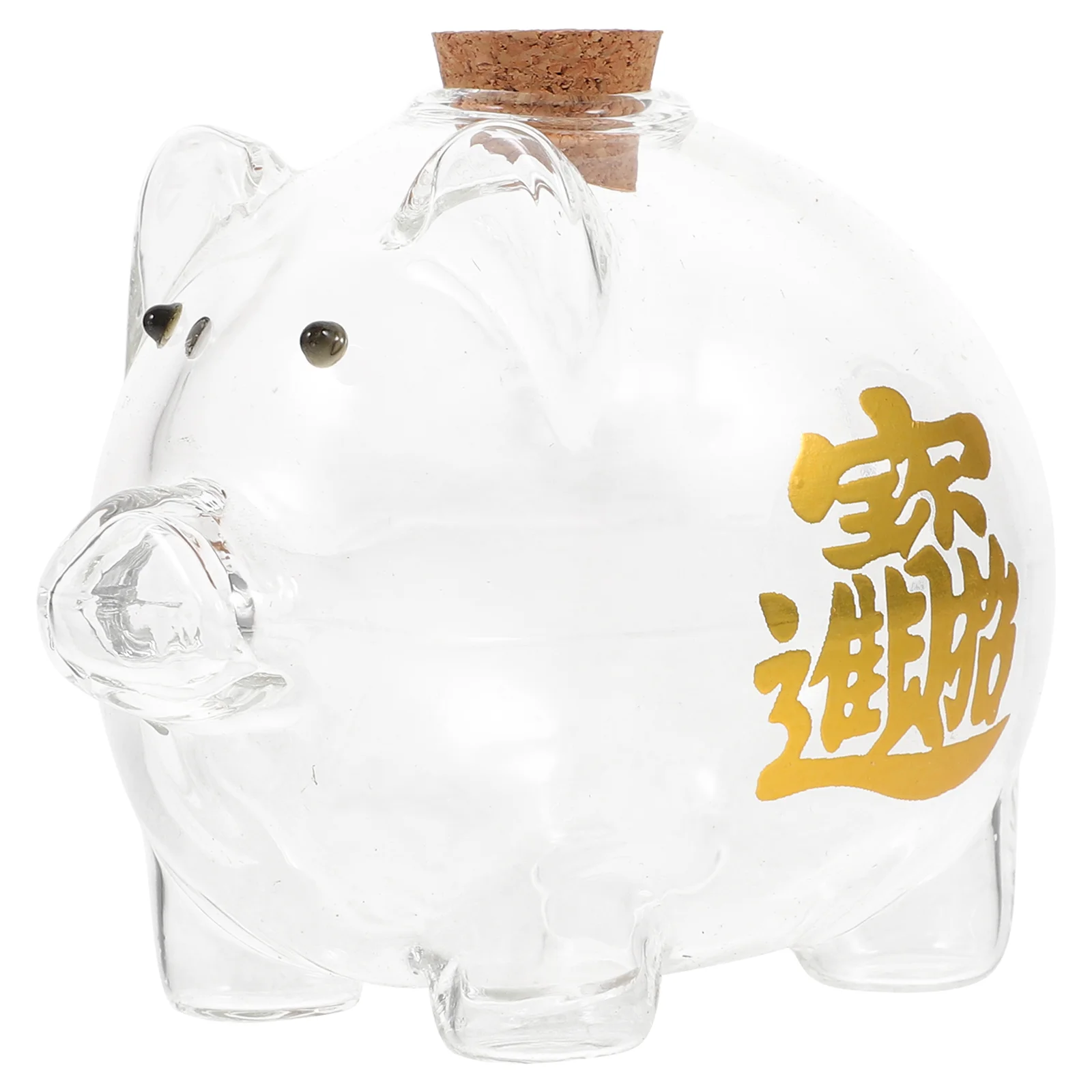 Huchabonitadecristaltransparenteparaniosyniascajadedinero