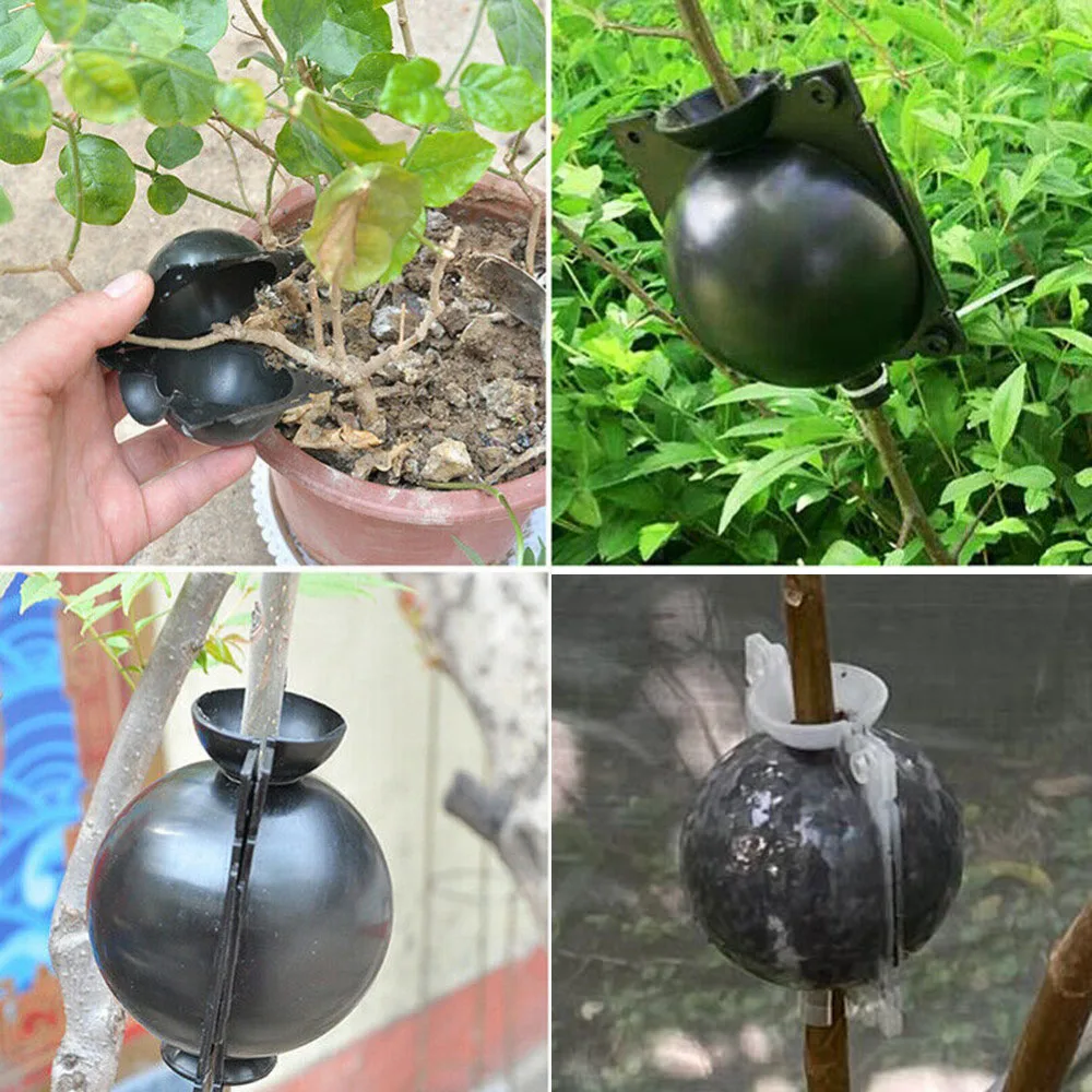 1 Set Plant Rooting Ball Grafting Rooting Growing Box Breeding Case Plant Device High Pressure Box for Garden D3