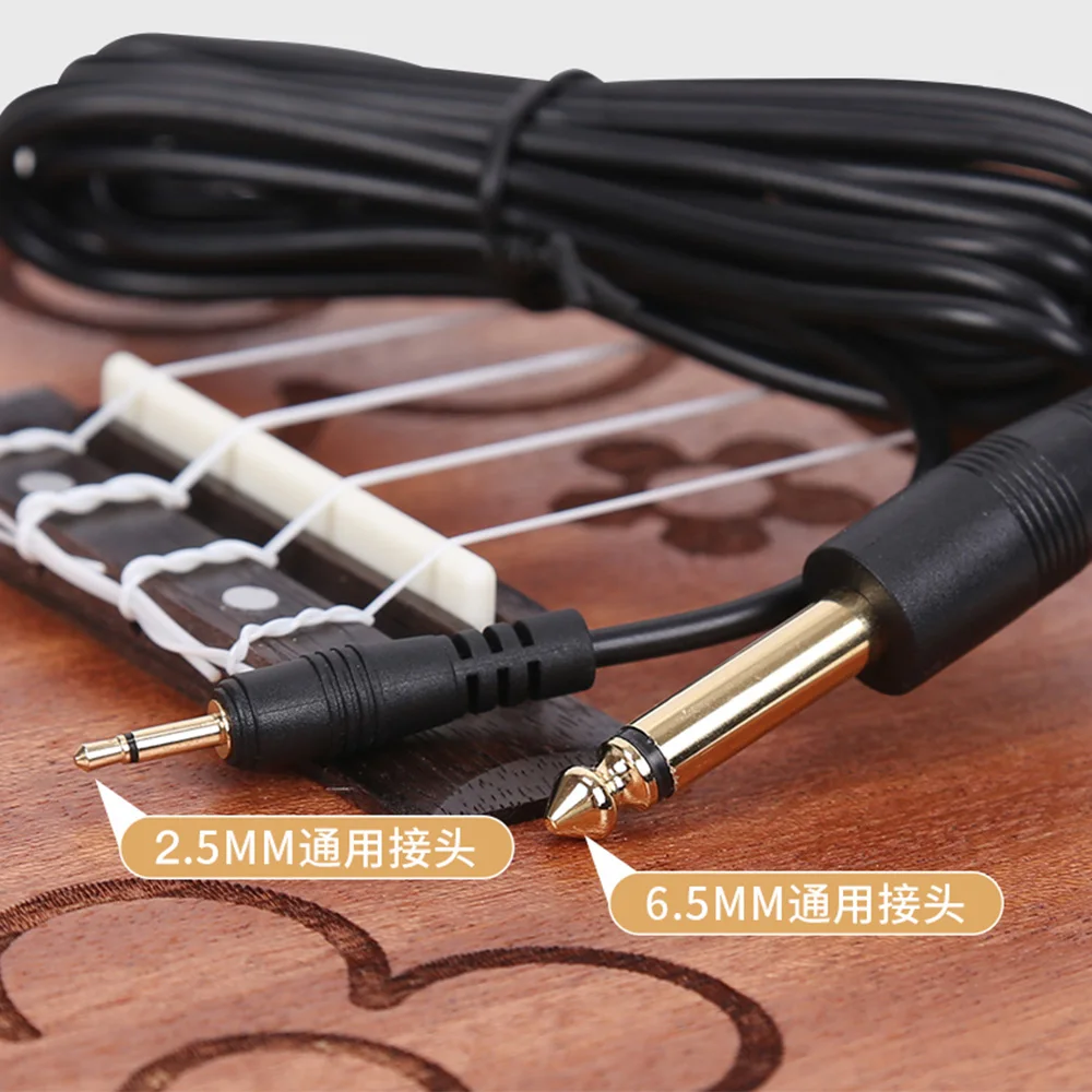 Compact Acoustic Instrument Sound Amplifier Pickup