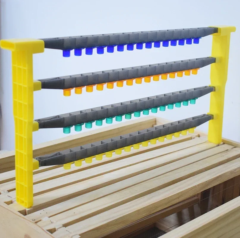 Beekeeping Plastic Bee Queen Rearing Frame Kit with JZBZ Cell Bar Cell Holder Cups No-Graft Breeding Apiculture Tools beekeeping tools beekeeping accessories