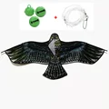 120cm Blue eagle