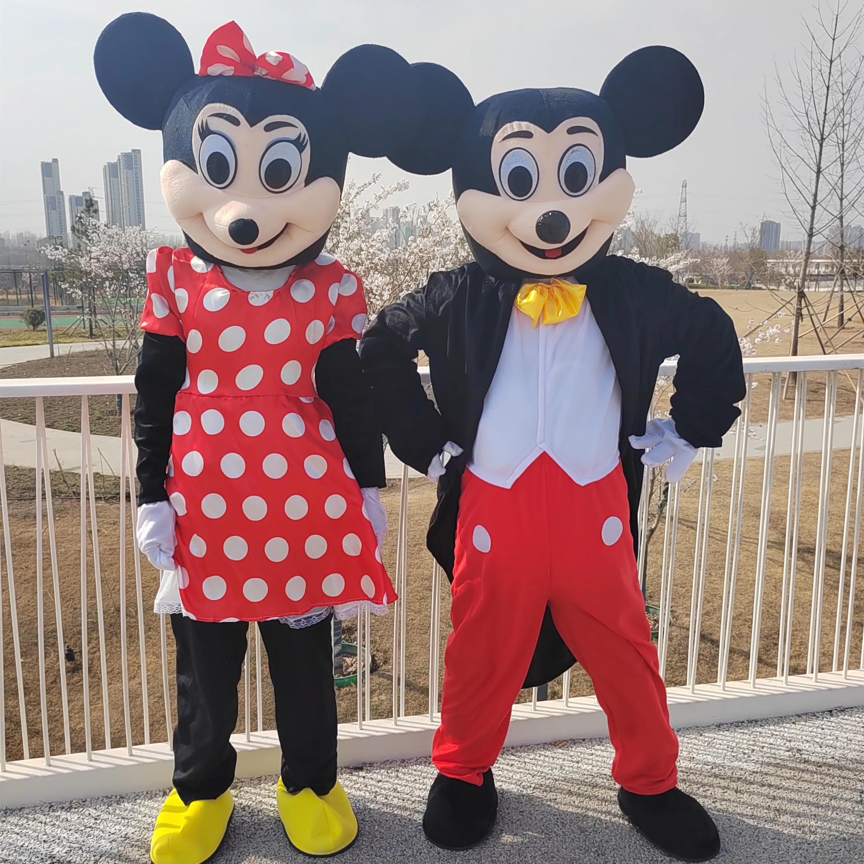 Mickey And Minnie Mouse Costumes