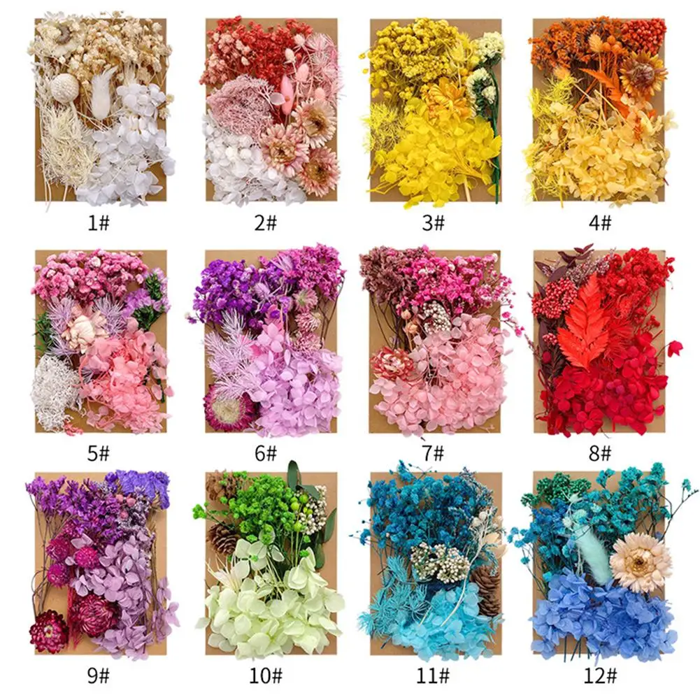 1 Bag Dried Flowers Pressed Dry Flower For DIY Phone Case Epoxy Resin Filling Pendant Jewelry Making Crafts Nail Art Decor