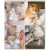 Newborn Pet Feeding Nipple Dog Cat Feeding Pacifier Hamster Rabbits Kittens Puppies Feeding Bottle Syringe with Silicone Nipple 5