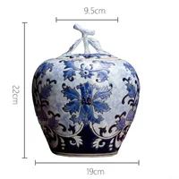 Apple Shape Storage Jar with Lid Blue and White Ceramic Canister Kitchen Food Coffee Sugar and Tea Jar Caddy Canister Porcelain 2