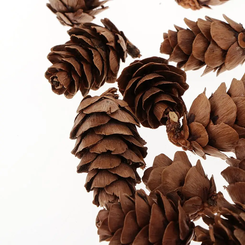 Natural Pine Cones DIY Bulk Mini Ornaments for Christmas Decorations Vase Filler and Table Accents Natural Pine Cones DIY Bulk Mini Ornaments for Christmas Decorations Vase Filler and Table Accents
