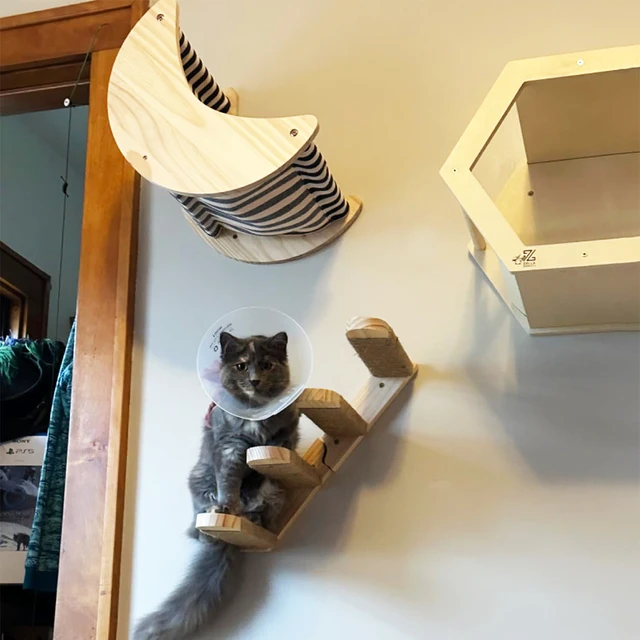 Wall cat climbing frame moon shape cat hammock wall tassel cat bed pedal cat climbing rest new favorite 5
