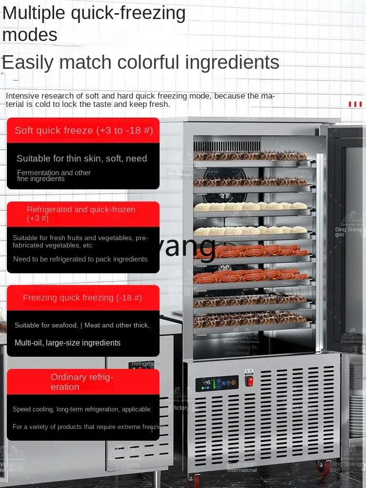 L'm'm Commercial Quick Freeze-45 Degrees Low Temperature Lock Fresh Refrigerator Frozen Freezer