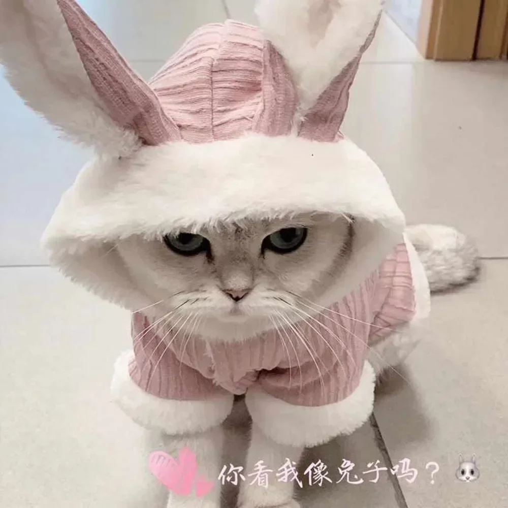 겨울 고양이 스웨터, 보온 강아지 옷 조절 가능한 애완동물 스웨터 아늑한 강아지 의상 미끄럼 방지 실내외 겸용 털없는 고양이용