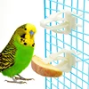 3/6/12pcs Parrot Birds Food Clip Bird Cage Feeder Vegetable Fruit Clips For Bird Cage Accessories 6