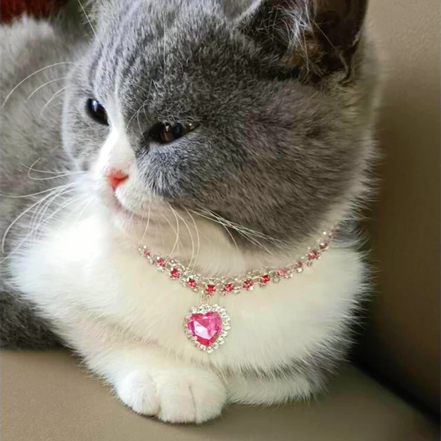 Cat Pendant Pet Collar