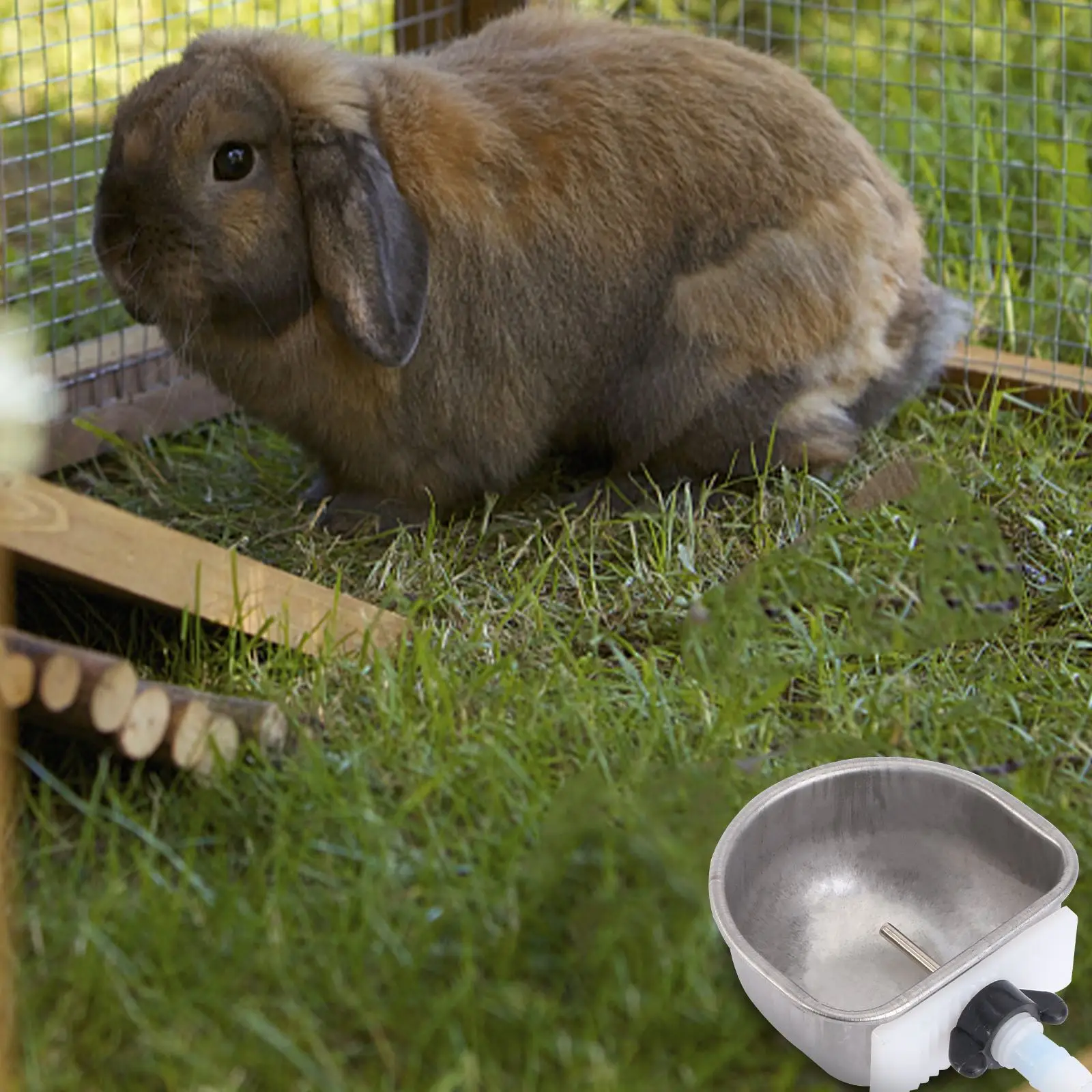 2 Pcs Stainless Steel Pet Waterer Durable Rabbit Drinker Water Bowls Chicken Dispenser Feeding Supplies Pet Products
