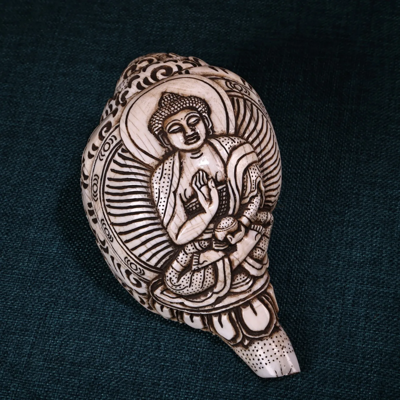 

7"Tibetan Temple Collection Old Natural Conch Cinnabar Shakyamuni Buddha Conch Snail Worship Hall Town house Exorcism