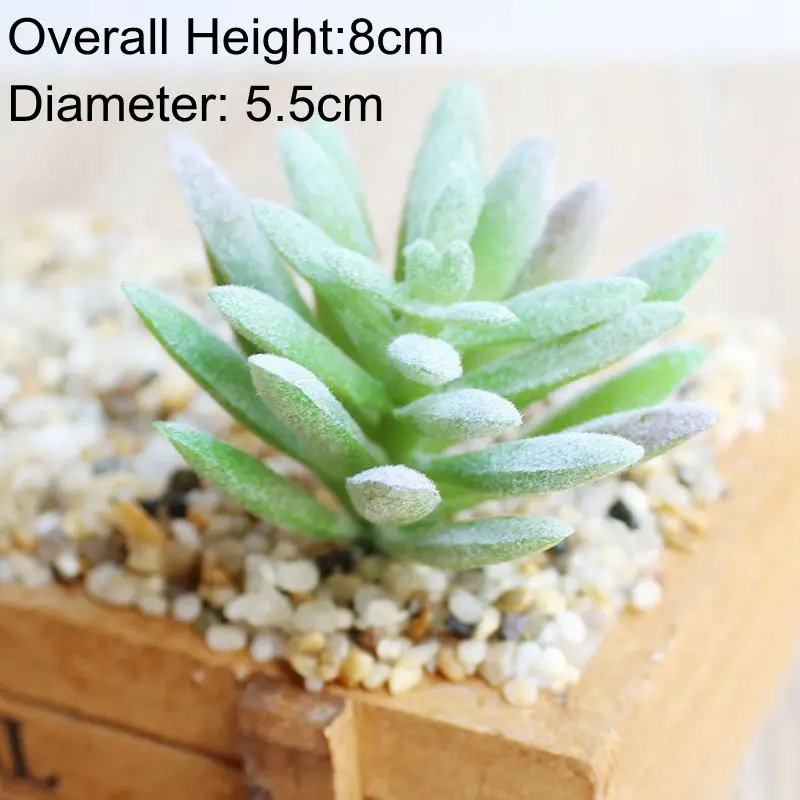 Vibrant Multicolor Flocking Succulent Plants