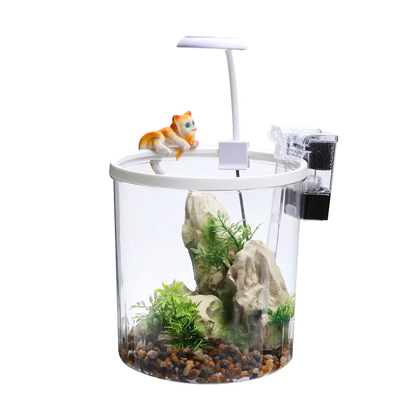 Acuario de sobremesa de 5 galones para peces pequeños, mini acuario de acrílico y vidrio para peces dorados con luz LED, filtro y bomba.